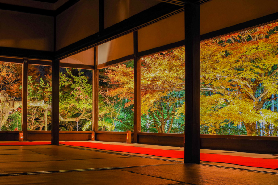 クロスエクスペリエンスvol4