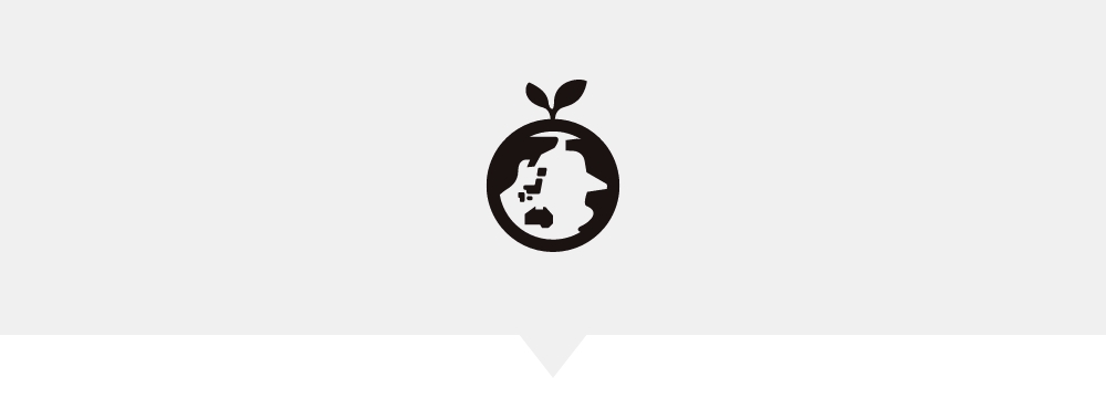 エコな清掃スタイルの選択について